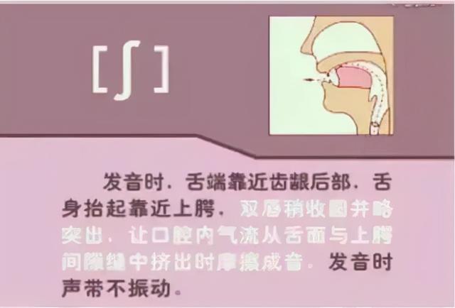 英语老师直言：掌握好这些音标知识，孩子轻松学会英语发音