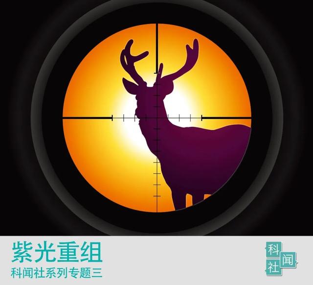 紫光重组好一出大戏，从群雄逐鹿到智路建广联合体与阿里双雄争锋