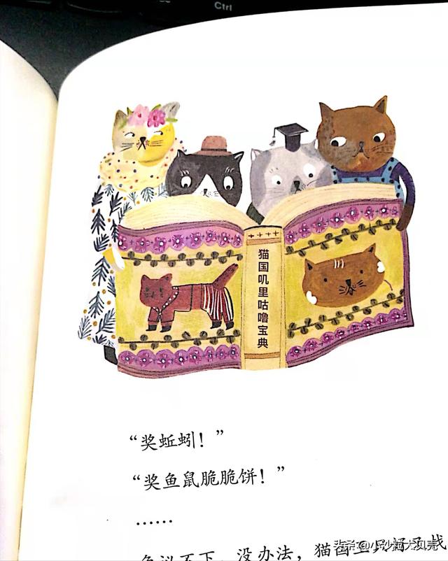 妈妈，今天还要继续讲叽里咕噜宝典呀