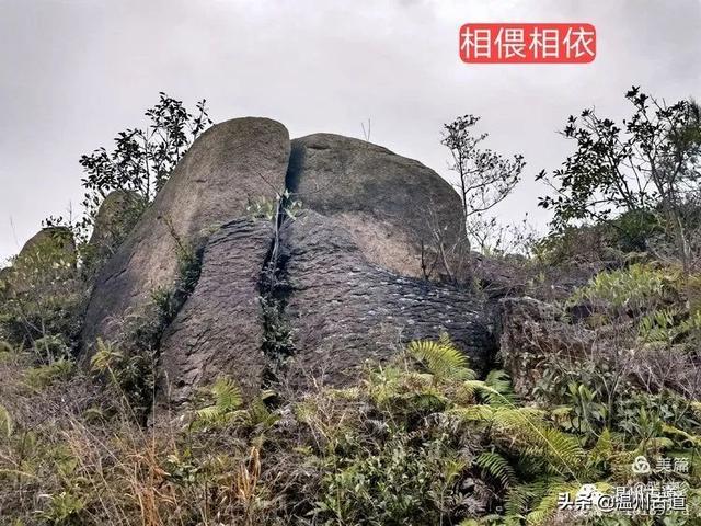 大羅山有處二師兄奇石，惟妙惟肖，你可找到過？