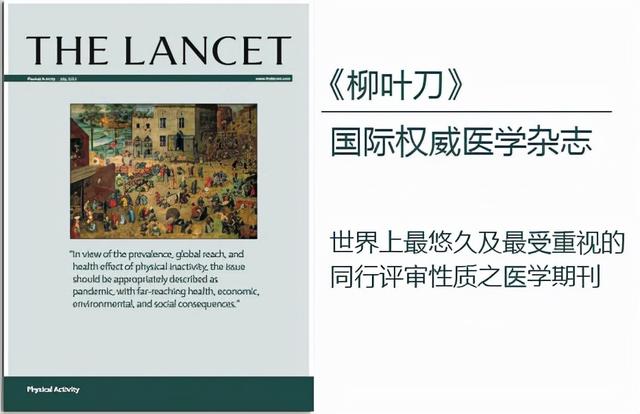 多吃主食死得快！43万人柳叶刀研究：主食吃多少，才能延长寿命？