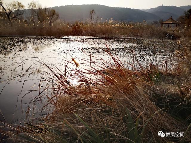 房山牛口峪濕地公園，沒想到風景如此優美