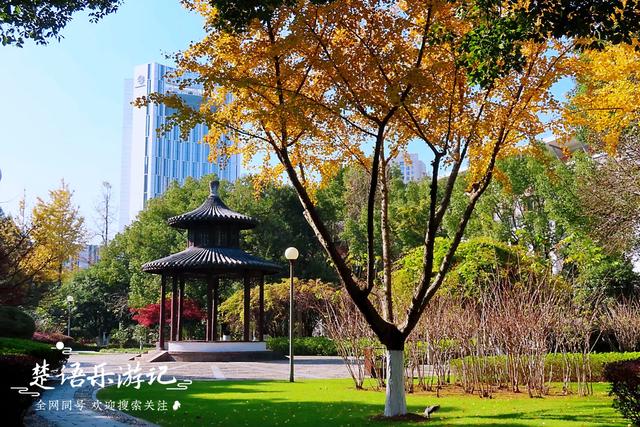 身爲5A景區卻堅持免費，秋色斑斓到處如畫，甯波這個景點讓人驚豔