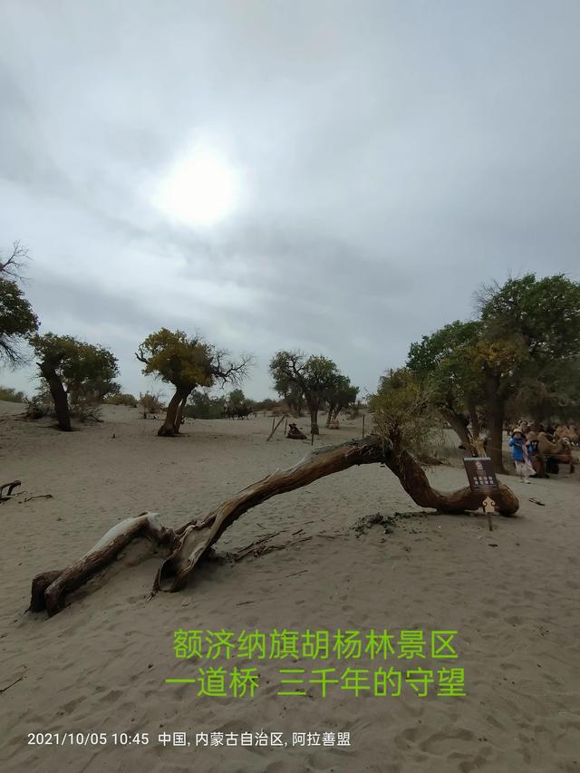 西行漫記之10月5日內蒙古篇