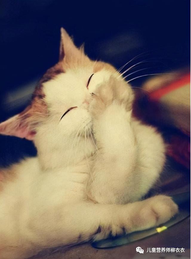 激发孩子自驱力，让女儿从抗拒学习到主动学习，我用了这几招