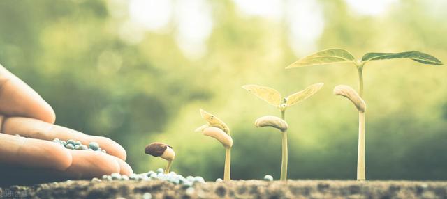 别人眼中“一无是处”的全职妈妈，如何获得打开成功之门的钥匙？