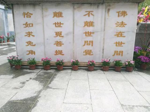 你知道寺院義工嗎？記錄我的十一天寺院義工生活