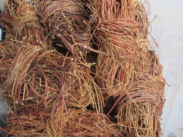 为什么说枸杞三斤，也抵不过此物一两？这3个健康常识带你养生