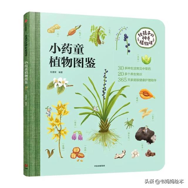 10本植物科普书籍推荐，让孩子在家也能探索大自然的奥秘