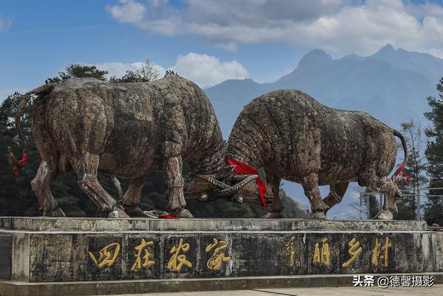 黔桂人文攝影之四：水族
