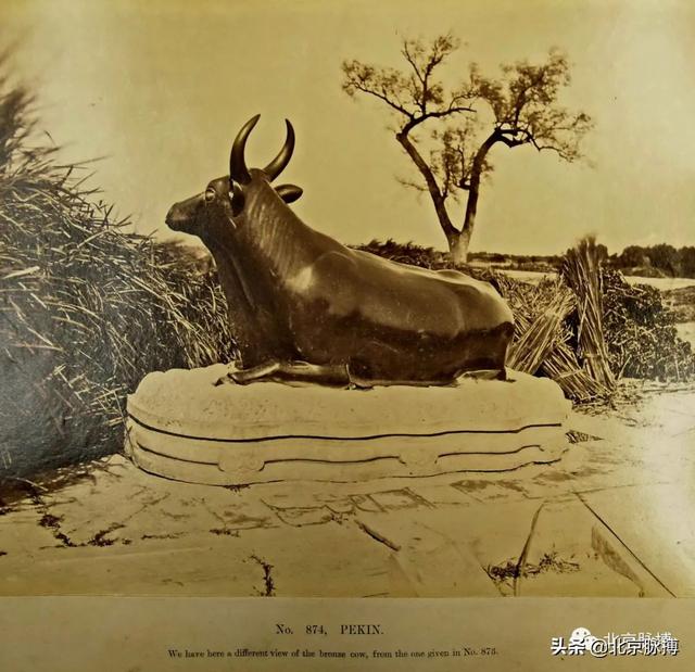 畫說北京丨頤和園裏的山河歲月