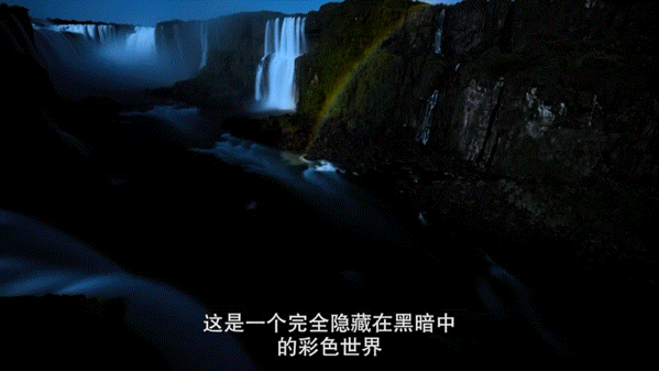 豆瓣9.3，又一部超高分紀錄片來了，威爾·史密斯带你游遍地球