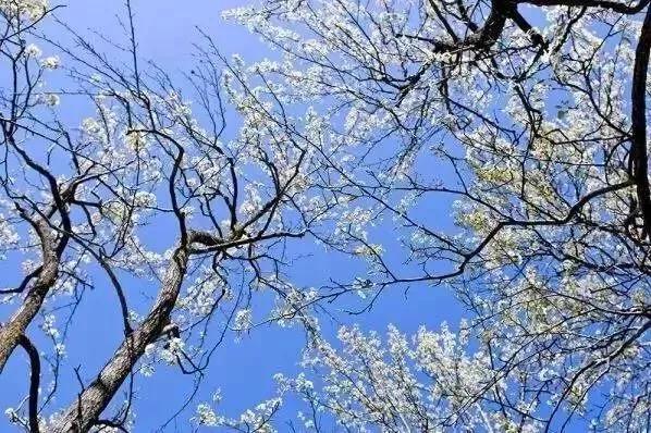 我國隱藏的女兒國，一個真正的世外桃源