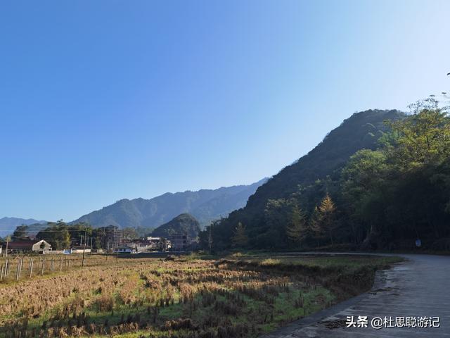 漢EV自駕廣西，秋冬的海洋鄉銀杏是不能錯過的風景區