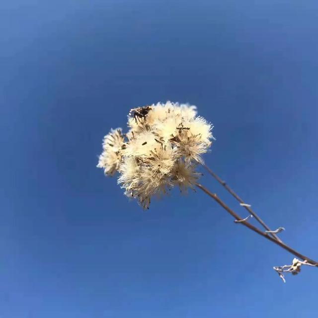 “人过六十，六不想”，指的是什么？看完就知道古人智慧有多高了