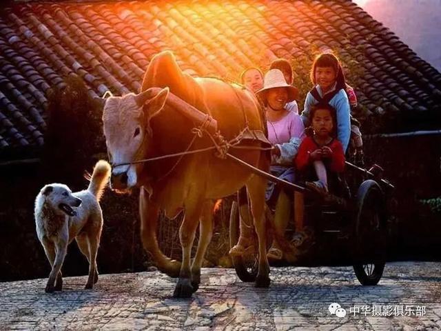 太美了！金奖摄影作品欣赏——