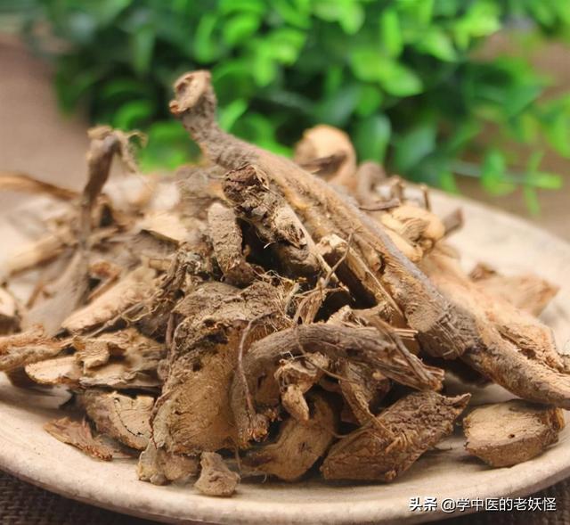 每天学习一味中药——苎麻根