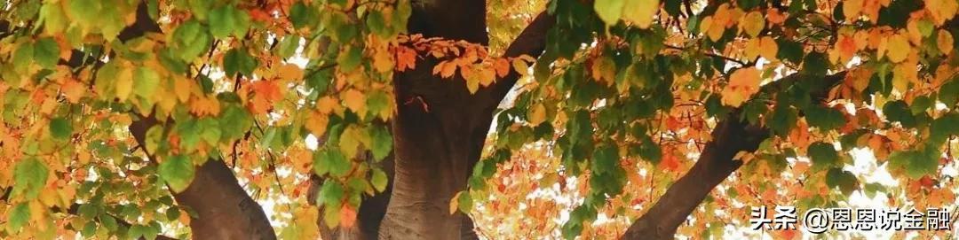 全球震动，大A终于硬了一次