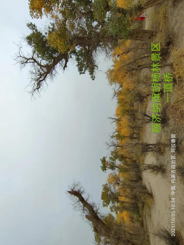 西行漫記之10月5日內蒙古篇