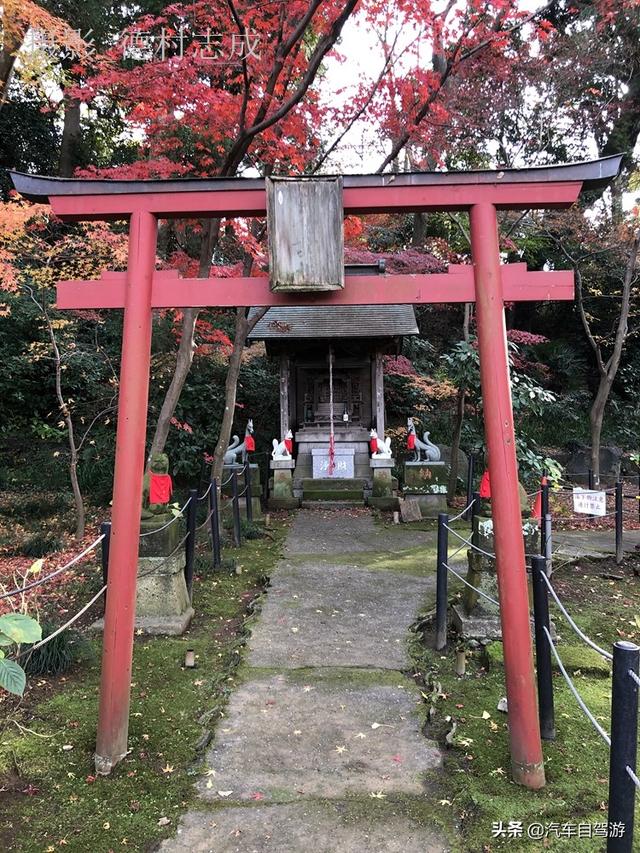 德村志成：落葉殘楓依然美麗，久違北小金本土寺