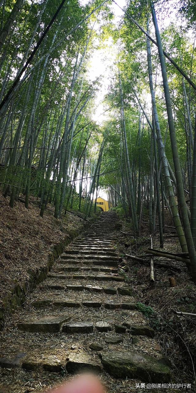 年末了，舉家住到了酒店，爲啥？2021年末我們的隔離生活一