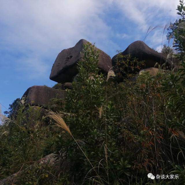 神奇的石頭—官印石