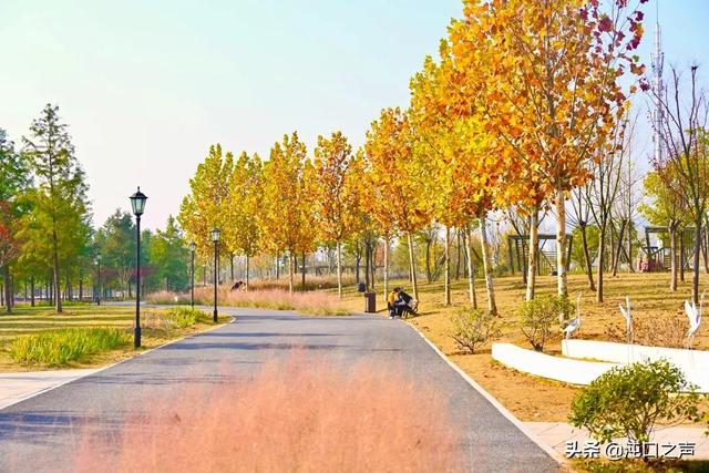沌口三角湖公園太美啦！喊你來拍照，隨手一拍就是大片