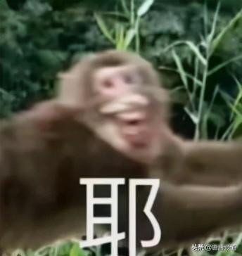 今日科技热点：终结者成为可能？可以繁殖的活体机器人诞生