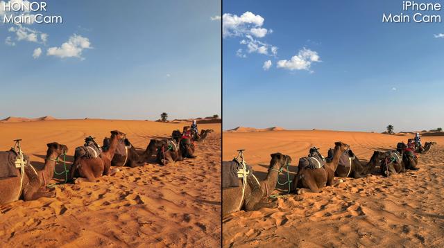 荣耀Magic3Pro对决iPhone13Pro，高像素有优势吗？结果一目了然
