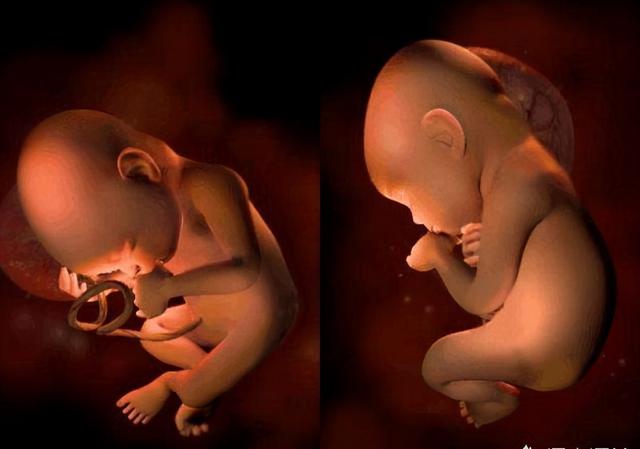 男孩早产，女孩拖月，“早生贵子”是科学不是迷信？家长别被误导