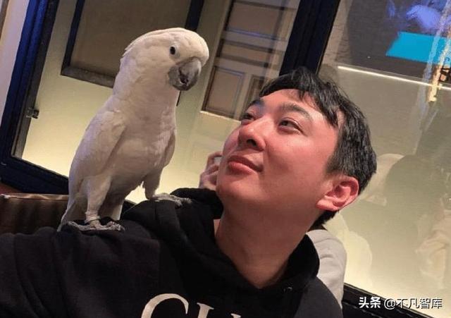 这3对富豪夫妻：个个身价不菲，企业实力雄厚，资产均超千亿