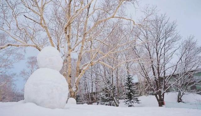 冬至到！一年中关键的二十七天，这些养生禁忌要知道