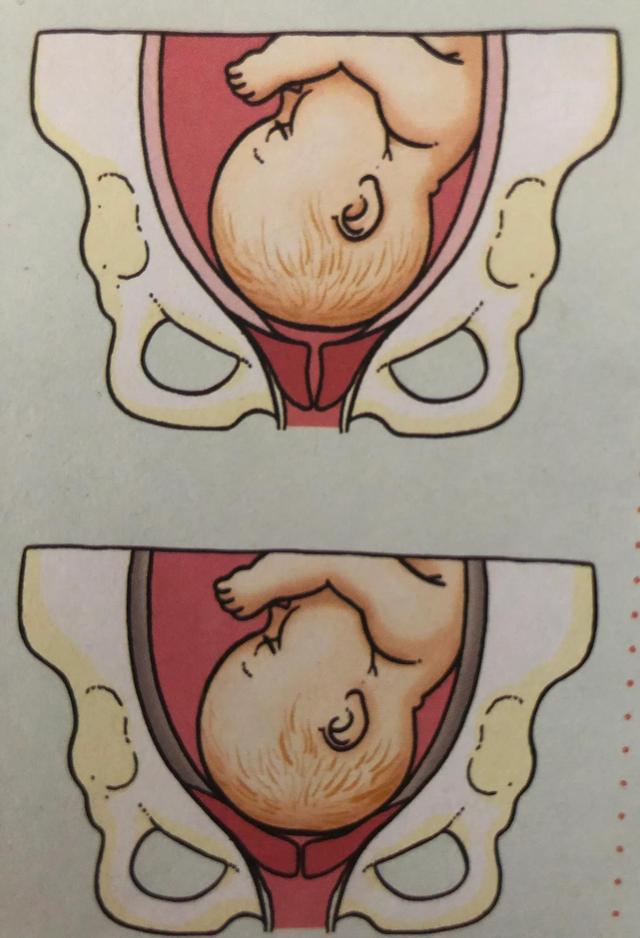 广东新增育儿假，老公叫我生三胎，我让他看完这6张图