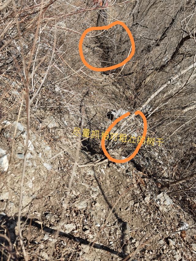 戶外爬山小技巧，你一定要知道的安全小常識