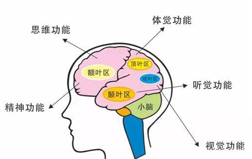 被骂的孩子，他的未来将不自信