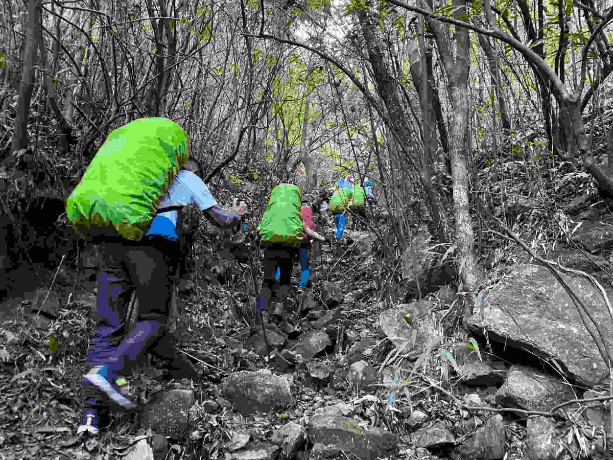 南嶺山脈，一次出行登頂廣東最高前六峰讓驢友自豪一生