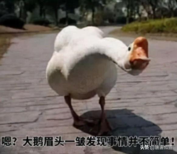 今日科技热点：印度还能要脸吗？明目张胆偷北京大兴机场图炫耀？