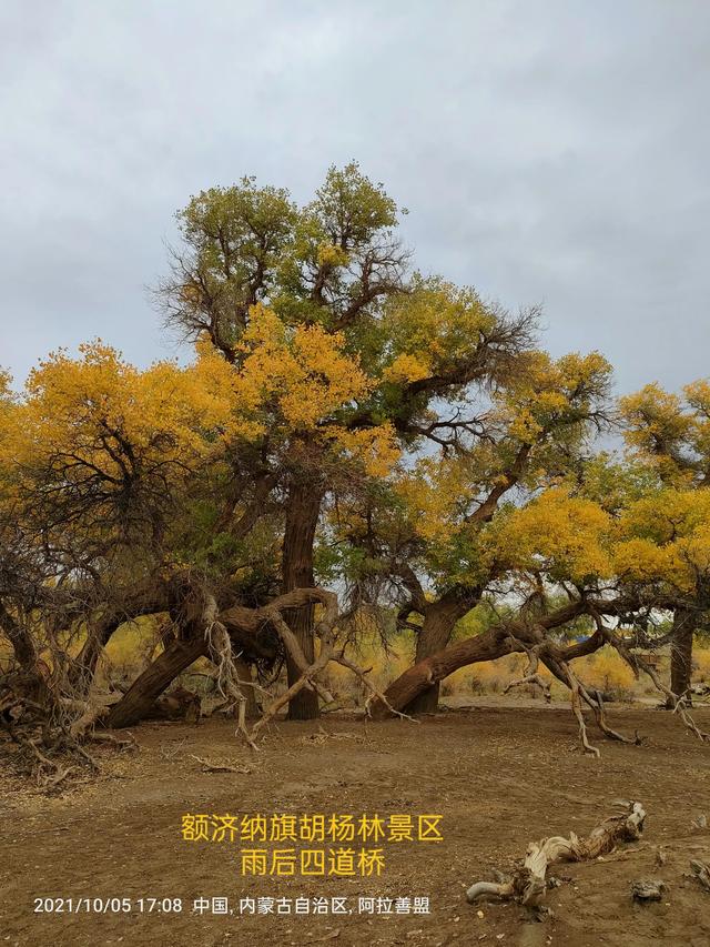 西行漫記之10月5日內蒙古篇