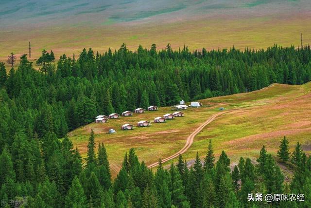 延长社保最低缴费年限：莫打农民注意