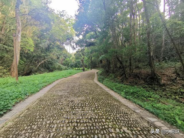 廣東粵北有座道觀，全國唯一一處以福字命名，其景觀更是一絕
