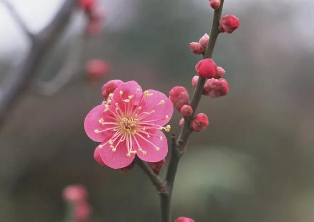 文章图片55