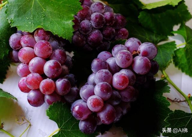 美国人平均一年吃多少食物