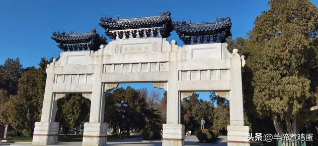 未等冬寒至 梅已報春香——北京中山公園臘梅提前綻放 盡顯芬芳