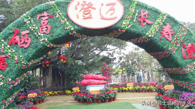海南西線有一座被低估的縣城，區位好環境佳，適合老年人避寒過冬