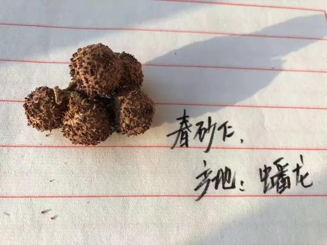 如果你正在吃补品，可要长点心了