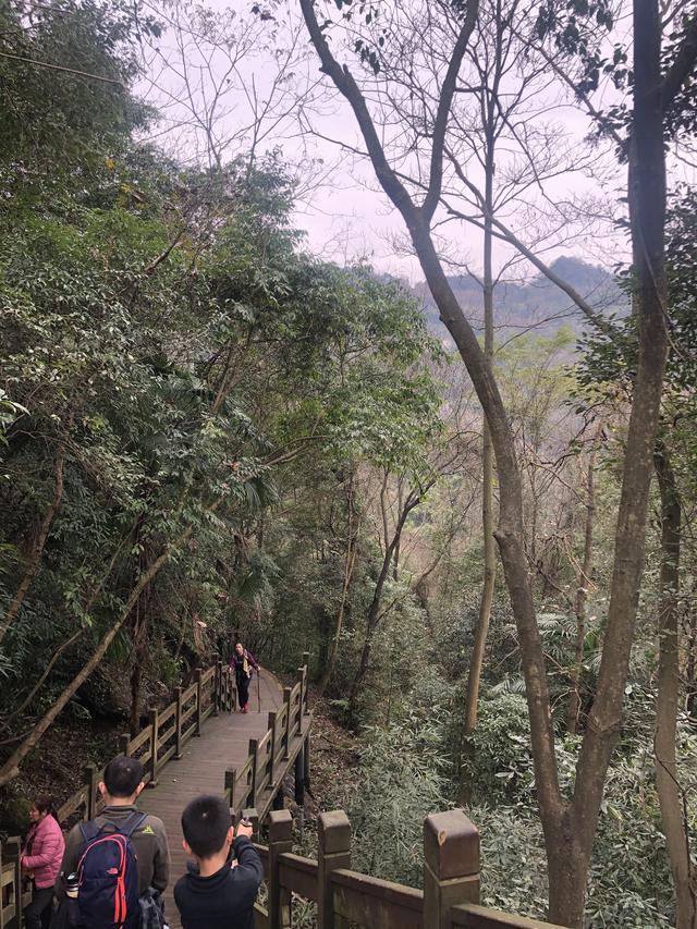 一不小心又成了夜遊~周末街子古鎮康道徒步到光嚴禅院~腳都走麻了