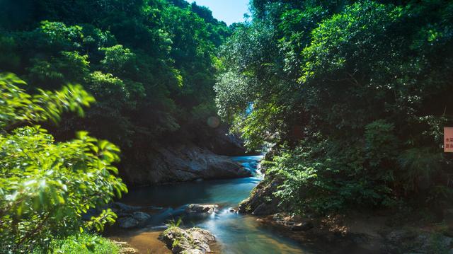 深圳8個免費旅行景點，你去過幾個？