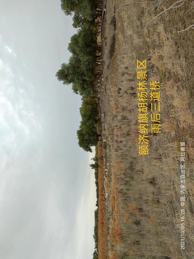 西行漫記之10月5日內蒙古篇