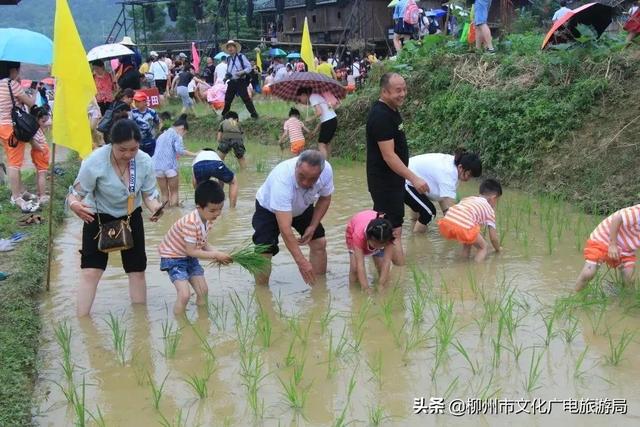 雙龍溝最全打卡攻略出爐，推給朋友絕對沒錯！