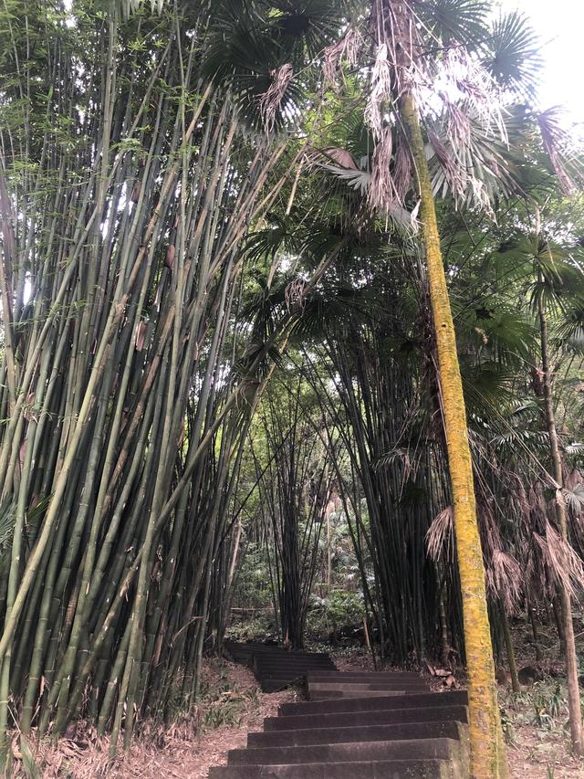 一不小心又成了夜遊~周末街子古鎮康道徒步到光嚴禅院~腳都走麻了